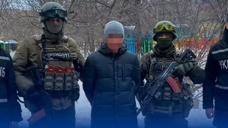 В Шымкенте осудили мужчину за пропаганду терроризма 