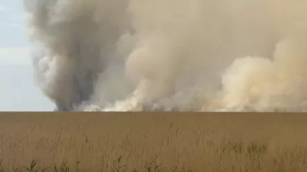 Атыраудағы «Ақжайық» резерватында қамыс өрті әлі сөнген жоқ