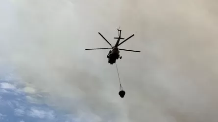 Атырау облысындағы қамыс өрті толығымен өшірілді 