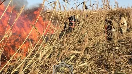Атырау облысында қамыс өртін сөндіру жұмыстары жалғасуда 