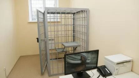 «Изоляторда адвокаттардың шалбарын шешіп тексереді» – ІІМ түсініктеме берді 