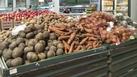 Давящий импорт и реэкспорт: почему АПК не может полноценно развиваться в РК