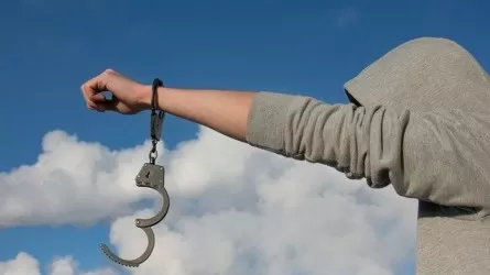 Қанша адамға рақымшылық жасалатыны айтылды 