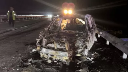 Два человека погибли в ДТП с участием лошади в Акмолинской области