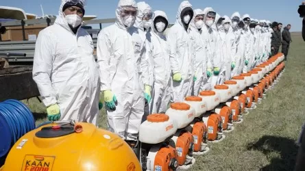 448 рет ұшты: Павлодарда шыбын-шіркейді әуеден өңдеу аяқталды