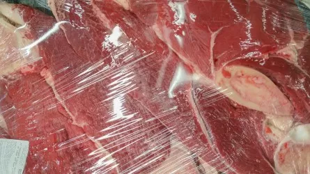 В магазинах Казахстана появится мясо сайгаков