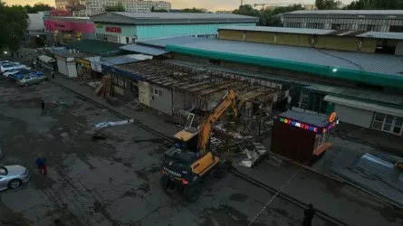 Алматыда ешбір құжаты жоқ «Арыстан» базары сүрілетін болды