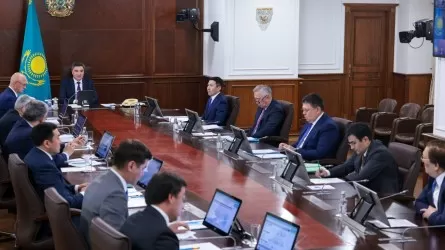 «Отандық кәсіпорындарды тарту керек»: Премьер-министр нақты тапсырма берді