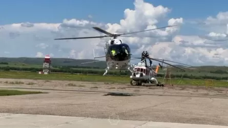 Төтенше жағдайлар министрлігінің мамандары жаңа туған нәрестені құтқарып қалды