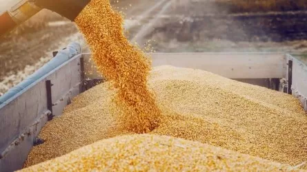 Қазақстан Тәжікстанға астық экспортын ұлғайтады