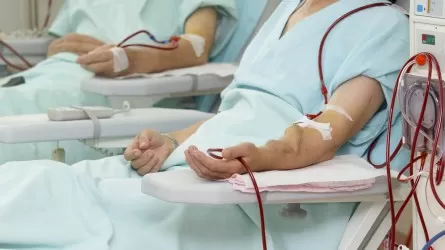Депутат әр 8 секунд сайын бір адамның өмірін жалмайтын ауру туралы айтты