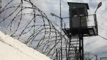 Более 4 тыс. человек могут выйти из тюрем на свободу в рамках амнистии