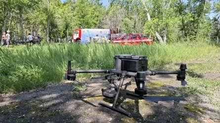 Лесные пожары: в ход идут дроны и космомониторинг