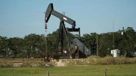 Казахстан поддержал рост добычи нефти в ОПЕК+ 