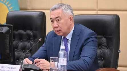 «Кірістер төмендеп барады»: Сенатор мәселе көтерді