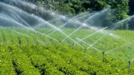 Юг Казахстана получил на сотни миллионов кубометров больше воды, чем год назад 