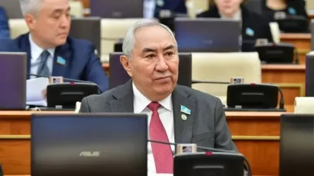Жигули Дайрабаев адамдарды ауылға апарудың тиімді жолдарын ұсынды 