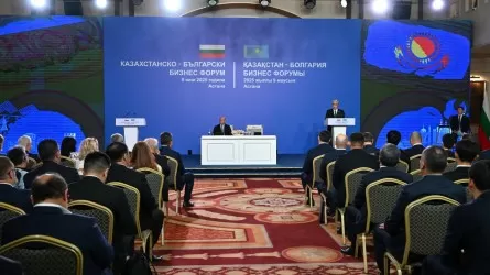Мемлекет басшысы: Жасыл энергетиканы дамыту ісінде ірі халықаралық инвесторлар үшін тартымды елге айналдық