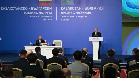 Токаев перечислил приоритетные секторы для расширения сотрудничества с Болгарией