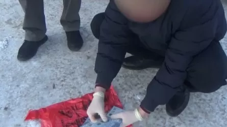 55 млн теңге айыппұл және өмір бойына тыйым: Қарағандыда екі шенеунік cотталды