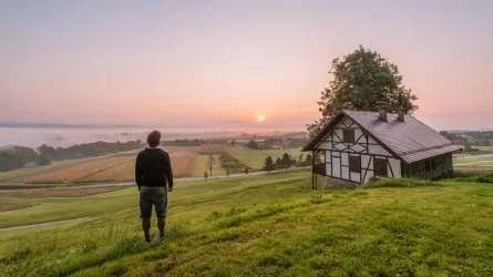 "Дачаға" ақша салғандар сан соғып, қатты өкініп жатыр 