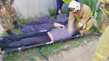 Беспокойство жены о задержавшемся в гараже муже спасло ему жизнь