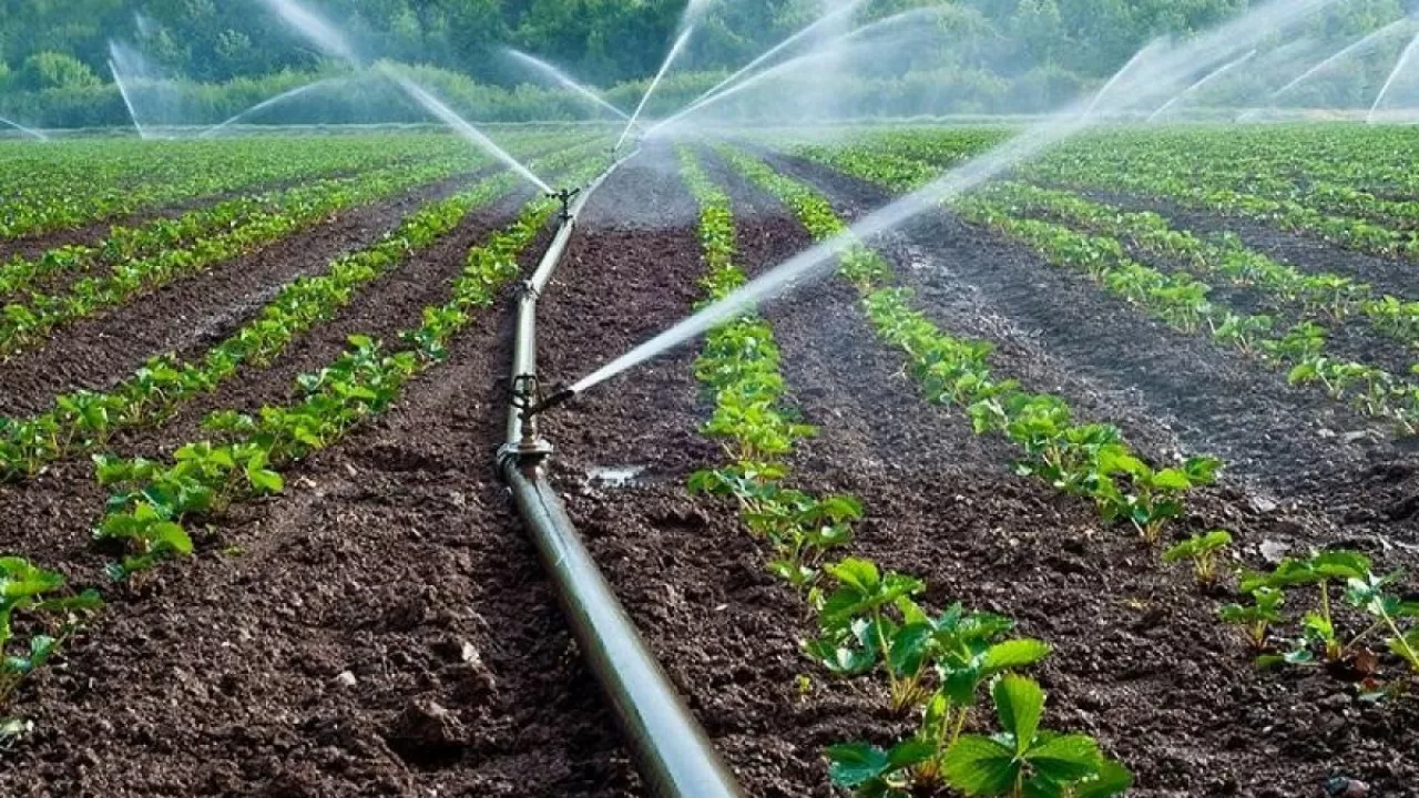 Үкімет Қызылорда облысындағы егін алқаптарын сумен қамтуға 1 млрд теңге бөлді