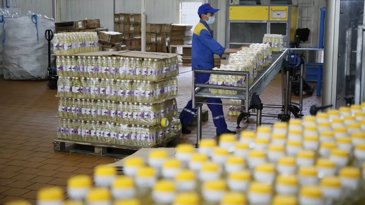 Сарыағашта күнбағыс майын өндіретін зауыттың құрылысы басталды