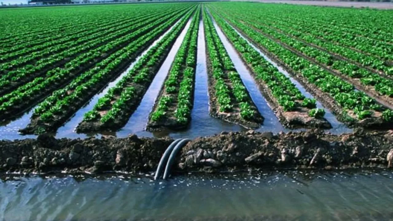 Водозабор на полив полей в РК превысил 8 млрд кубов 