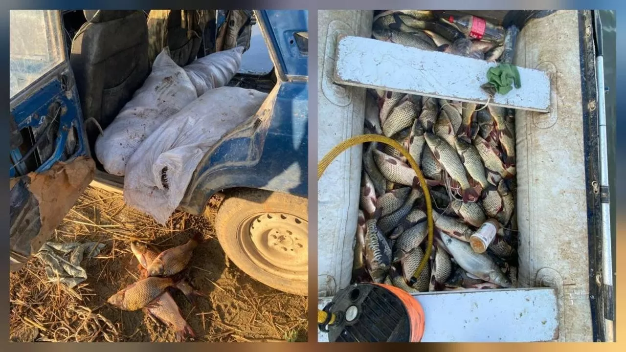 ОПГ по незаконному лову рыбы задержали на Бухтарминском водохранилище 