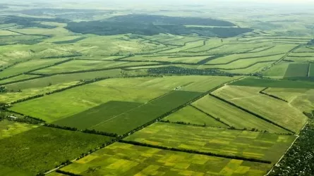 Cолтүстік өңірде құны 30 миллиард теңгеге жуық жерлер қайтарылды