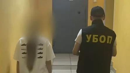 Иностранка приехала в Павлодар для продажи собственной почки 