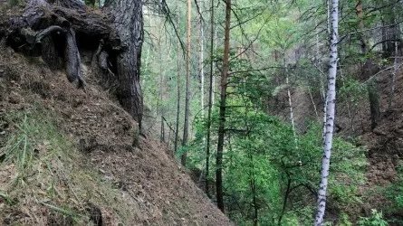 В Якутии вахтовка упала с обрыва: есть раненые и погибшие 
