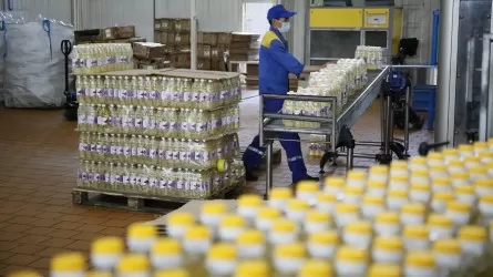 Сарыағашта күнбағыс майын өндіретін зауыттың құрылысы басталды