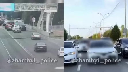 Выпускников Тараза крупно оштрафовали за хаотичный кортеж 