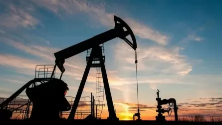 8 июля 2025 года нефть снова пошла вниз: названа причина 