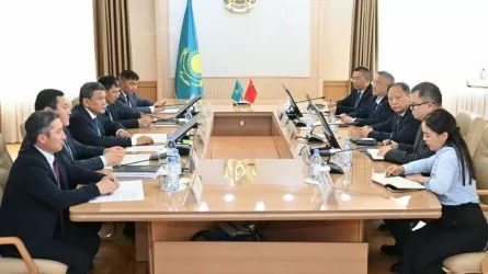 Қытайлық компания СҚО-да элеватор мен құрама жем зауытын салады