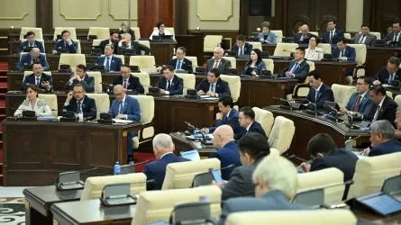 Министр ақталды, депутат ашуланды: Миллиардтар кім үшін?