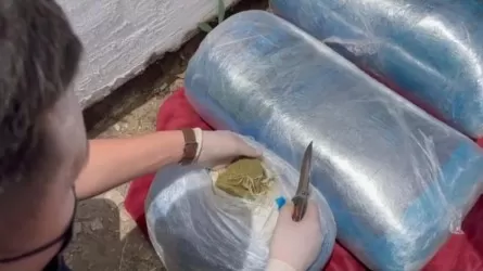 Абай облысында үлкен көлемде есірткі табылды