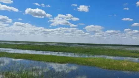 Лиманы наполнили водой в Павлодарской области 
