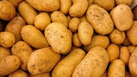 Казахстан продолжает увеличивать закупки картофеля из-за рубежа