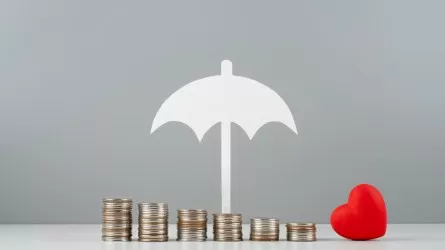 Шокирующая статистика: только 3% казахстанцев защищают свой дом от ЧП