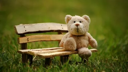 Игрушки сильно бьют по кошельку казахстанцев  