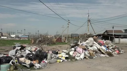 Алматыда әкімдіктердің лауазымды тұлғалары заңсыз қоқыс тастағаны үшін жазаланды