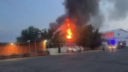 Алматы облысында құс фабрикасы өртеніп, 1 адам көз жұмды