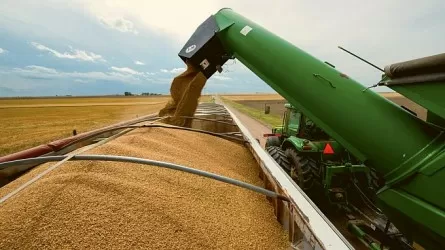 Қазақстан астық экспортын 58,4%-ға арттырды