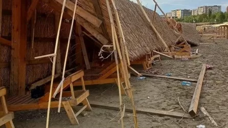 В Экибастузе после урагана вывезли 700 тонн мусора 
