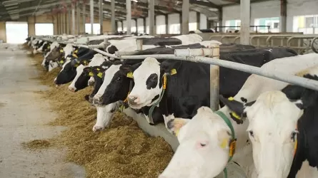 Ұлытау облысында «Отбасылық ферма» жобасы әзірленіп жатыр