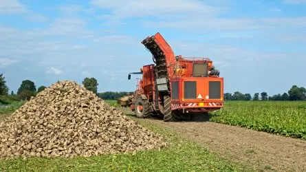 Қазақстанда қызылша өңдейтін ірі зауыт салынады