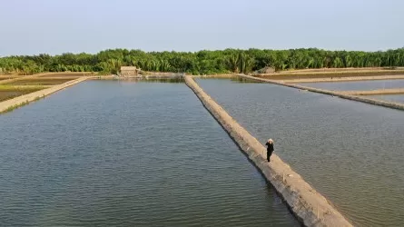 В Казахстане вводят паспортизацию для озерных и садковых хозяйств 
